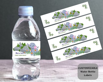 Plantillas de etiquetas de botellas de agua de cumpleaños, tema Safari, etiquetas de botellas de agua editables e imprimibles, etiqueta de bricolaje, personalice su celebración