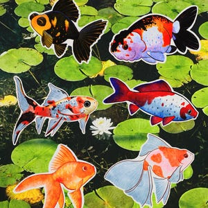 Conjunto de adesivos de peixinho dourado resistentes à água com 6 peças