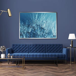 Dandelion Macro Photography Print: Blue Water Drops, Calming Nature Art