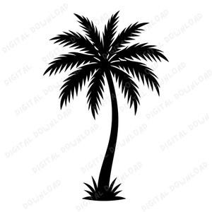 Palm Tree SVG PNG | Tropical Beach Silhouette Design | Summer Vacation Clipart | Cricut & Sublimation Cut File