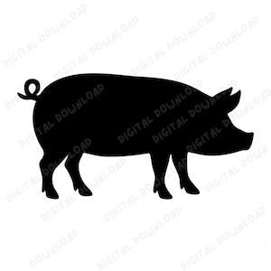 Silhouette di maiale SVG PNG / Clipart di animali da fattoria / File di taglio per bestiame / Design per sublimazione da cortile per Cricut e Silhouette