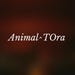 tora Toraboura