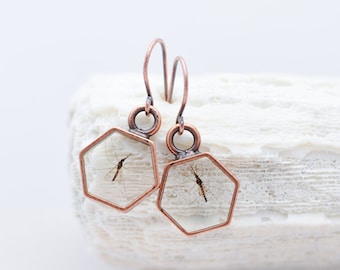 Mosquito in resin earring Science jewelry gift graduation Biology lab Genetics Neuroscience Malaria virus research real insect taxidermy