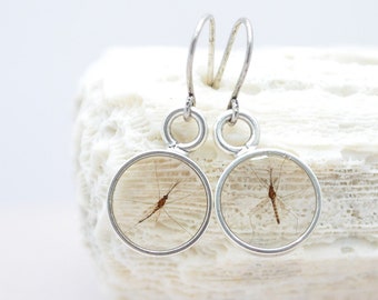 Mosquito earrings in resin, Science jewelry gift, PhD graduation, Biology lab, Genetics Neuroscience malaria research, real insect taxidermy