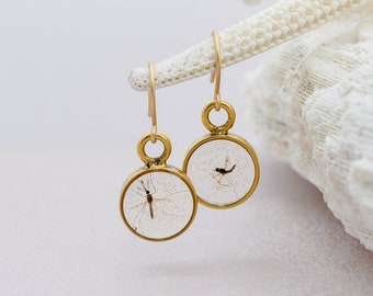 REAL Mosquito earrings in resin, Science jewelry gift, Biology lab tech, Genetics Neuroscience malaria research, PhD grad gift
