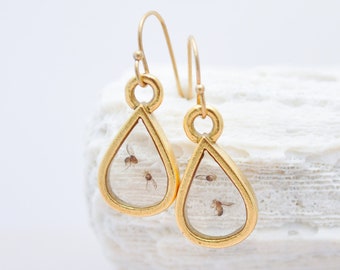 Fruit fly earring in resin, Drosophila Science gift, PhD graduation gift, Science Jewelry, Biology lab, Neuroscience, Genetics