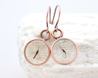 Mosquito earrings in resin, Science jewelry gift, PhD graduation, Biology lab, Genetics Neuroscience malaria research, real insect taxidermy