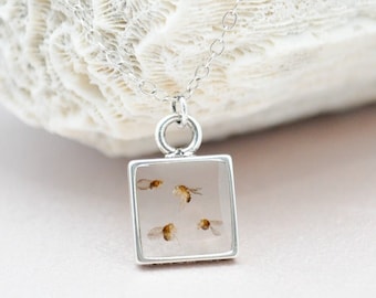 REAL Fruit fly necklace in resin, Drosophila science jewelry, PhD graduation gift Biology lab Neuroscience Genetics insect electrophysiology