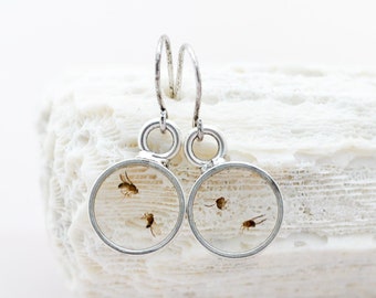 REAL Fruit fly earring in resin, Drosophila PhD grad degree gift Science Jewelry Biology lab tech Neuroscience, Genetics, Biochem research