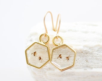 REAL Fruit fly earring in hexagon shaped resin, Drosophila science jewelry, PhD graduation gift, Biology lab Neuroscience, Genetics, insect