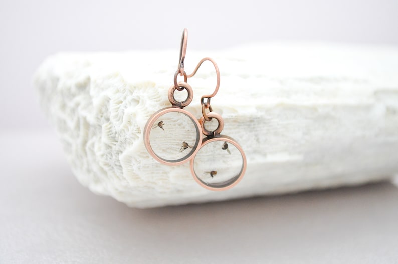 Drosophila Science gift PhD graduation gift Fruit fly earrings in resin