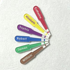 Op de afbeelding: Een verzameling kleurrijke naamlabels. Elk label heeft een andere kleur, waaronder rood, geel, paars, blauw, groen en bruin. Op elk label staat een andere naam: Catherine, Elizabeth, Sophia, Robert, James en William.