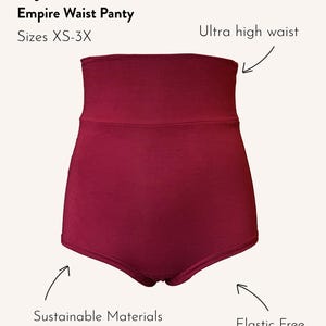 EMPIRE WAIST PANTY | Extra High Waist Underwear image 7