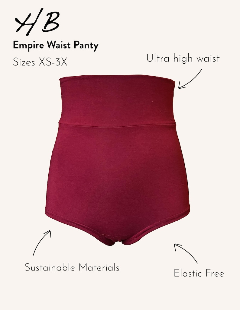 EMPIRE WAIST PANTY | Extra High Waist Underwear image 7