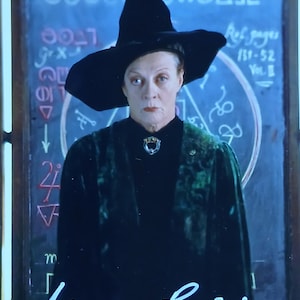 May include: A portrait of a person wearing a black witch hat and dark green robe. The background features a chalkboard with symbols and text. The image is signed "Mezgu Suih".