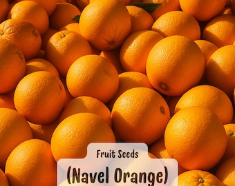 May include: A pile of bright orange navel oranges fills the frame. The oranges have a textured peel and are labeled "Fruit Seeds (Navel Orange)" in a white banner. The image is well-lit, highlighting the vibrant color and freshness of the fruit.