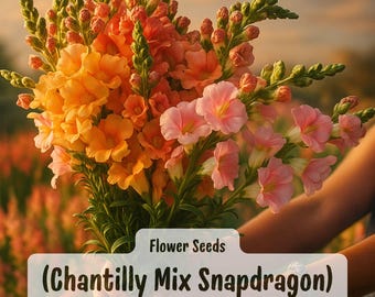 1000 Chantilly Mix Snapdragon Seeds: Vibrant Flower Garden Annuals, Easy to Grow, USA Seller