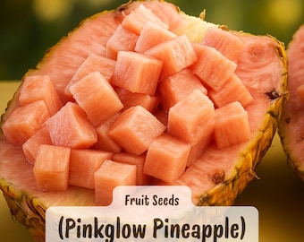 Piña Pinkglow (15 semillas): Fruta tropical rara, ideal para plantar en el jardín.