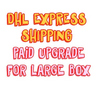 Puede incluir: DHL Express Shipping Paid Upgrade for Large Box. El texto está en rojo, rosa y amarillo.