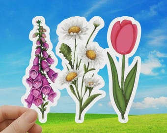 FDT Floral Sticker or Car Magnet Feminist Political Statement, Anti-Trump Resistance