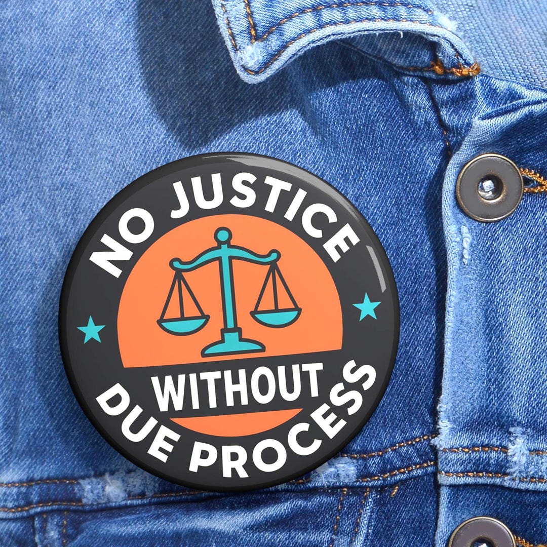 Due Process Pin: Civil Rights Protest Lapel Badge - Etsy