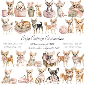 Op de afbeelding: Waterverf clipart set met verschillende illustraties van Chihuahua honden. De afbeeldingen bevatten honden met strikken, truien en accessoires, samen met een roze tas, een bol garen en de tekst "Cozy Cottage Chihuahua".
