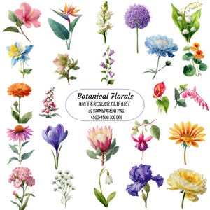 botanical watercolor png flower clipart set wildflower elements digital floral bundle for crafts invitations scrapbooking and branding ideas