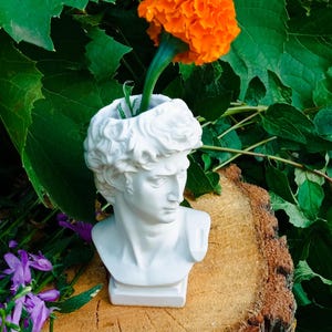 Può includere: Un busto bianco di David con un fiore arancione nel vaso a forma di testa. La scultura è posta su un ceppo d'albero, circondata da fogliame verde e fiori viola. Lo stelo del fiore è verde.