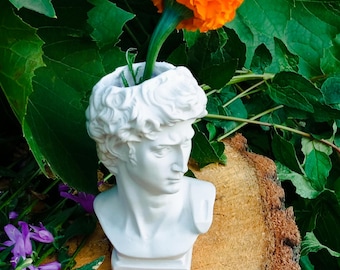 David Bust Planter: Gypsum Greek Sculpture Vase, Neoclassical Home Decor