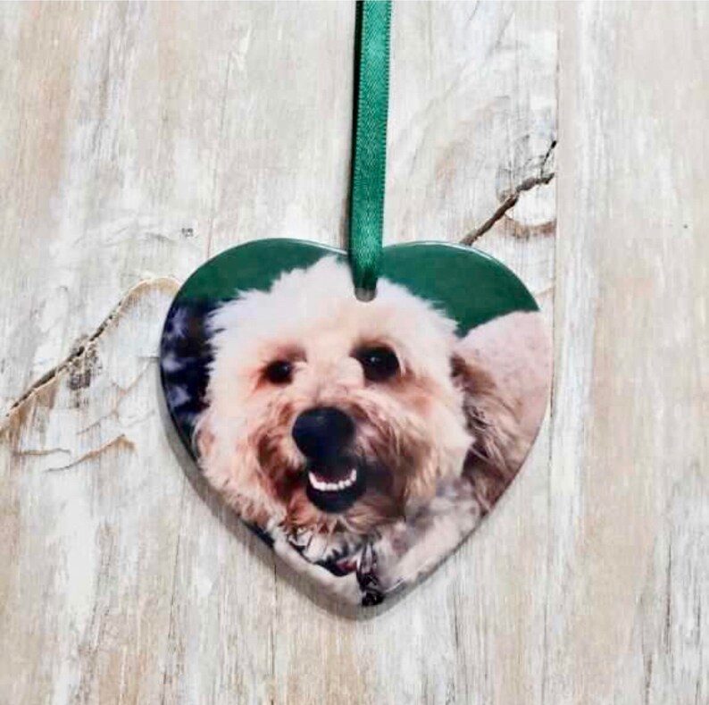 Deceased Pet Photo Ornament Pet Remembrance Ornament Dog Etsy