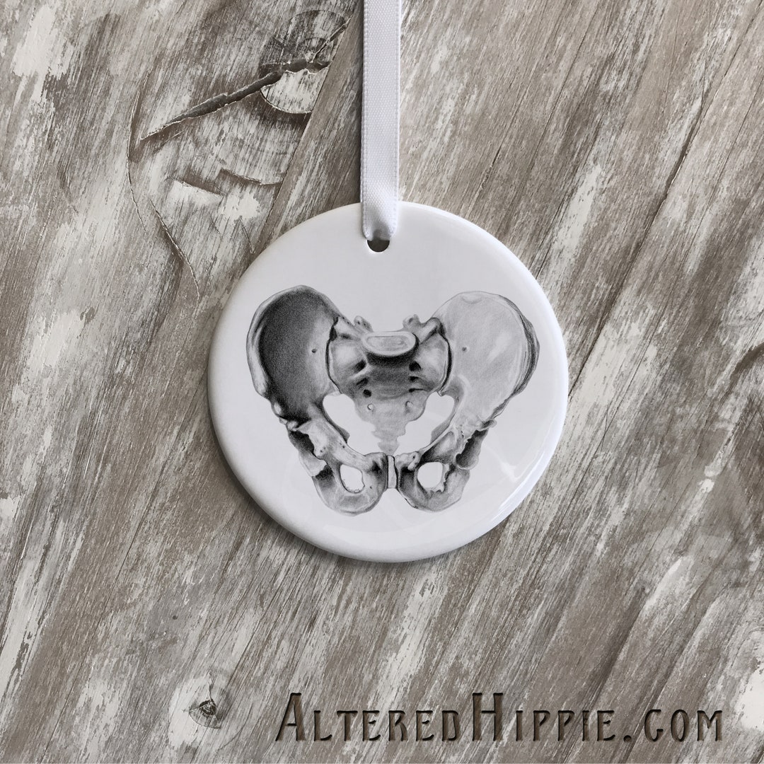 Hip Bone Ornament Hip Bone Anatomy Ornament Hipbone Replacement