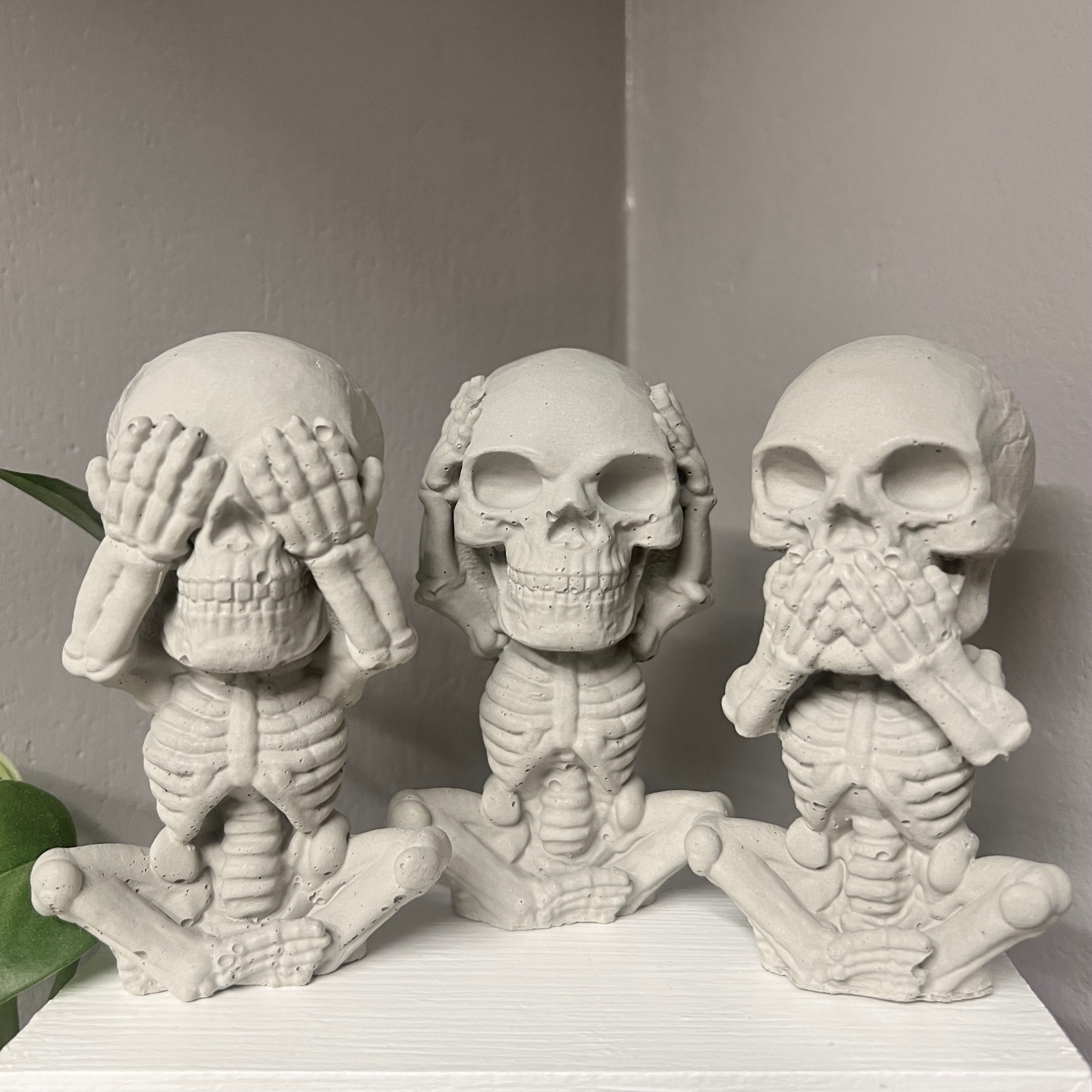 THE SKULL DISK NATURE TONES × DAMNGOOD THE SKULL DISK NATURE TONES x DAMNGOOD!!（OOC] The Hourglass