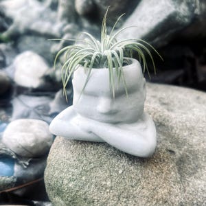 Desk Air Plant Holder | Unique Air Plant  Stand | Air Plant Decor| Sleepy Face Pot  Mothers Day Air Plant Gift with Box | desktop decor