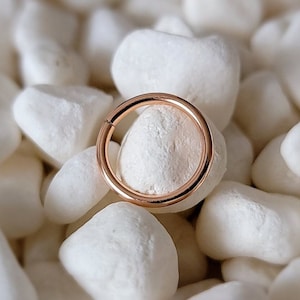 14kt Rose Gold 20g 1/4" (6mm) Seamless Septum Ring Forward Helix Rook Eyebrow Nose Ring Cartilage gold filled body jewelry