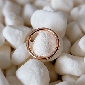 14kt Rose Gold Fill 18g 5/16" 3/8" Seamless Septum Daith Ring Hoop Eyebrow Nose Ring Tragus Cartilage Body Jewelry