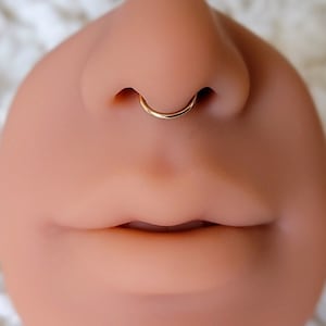 Septum D Ring Tiny 14k Gold filled 18g 16g Seamless 5/16" for Septum, Nostril, Tragus, Cartilage, Ear, Rook, and Helix Body piercings