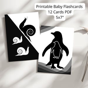 Flashcards voor baby's met hoog contrast | Zwart-witte kaarten voor visuele stimulatie voor pasgeborenen | Zintuiglijke ontwikkeling van baby's | Afdrukbare Montessori-kaarten