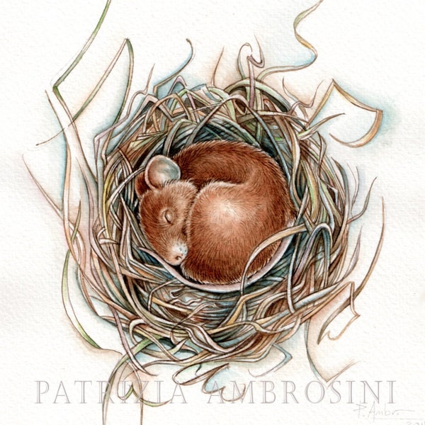 Original 7x9Watercolour MOusE in tHe nEst.. . NOT A PRINT ..Original Painting