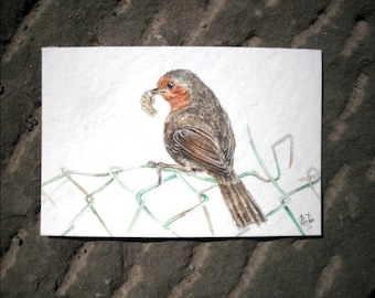 Original watercolor ROBIN.....NOT A PRINT