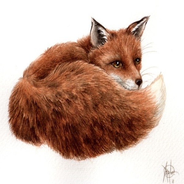 Renard en rouge 9 x 7 aquarelle originale 4... . PAS UNE IMPRESSION... Peinture originale