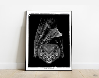 Affiche poster CHAUVE SOURIS noir et blanc 30x40 cm par Will Argunas