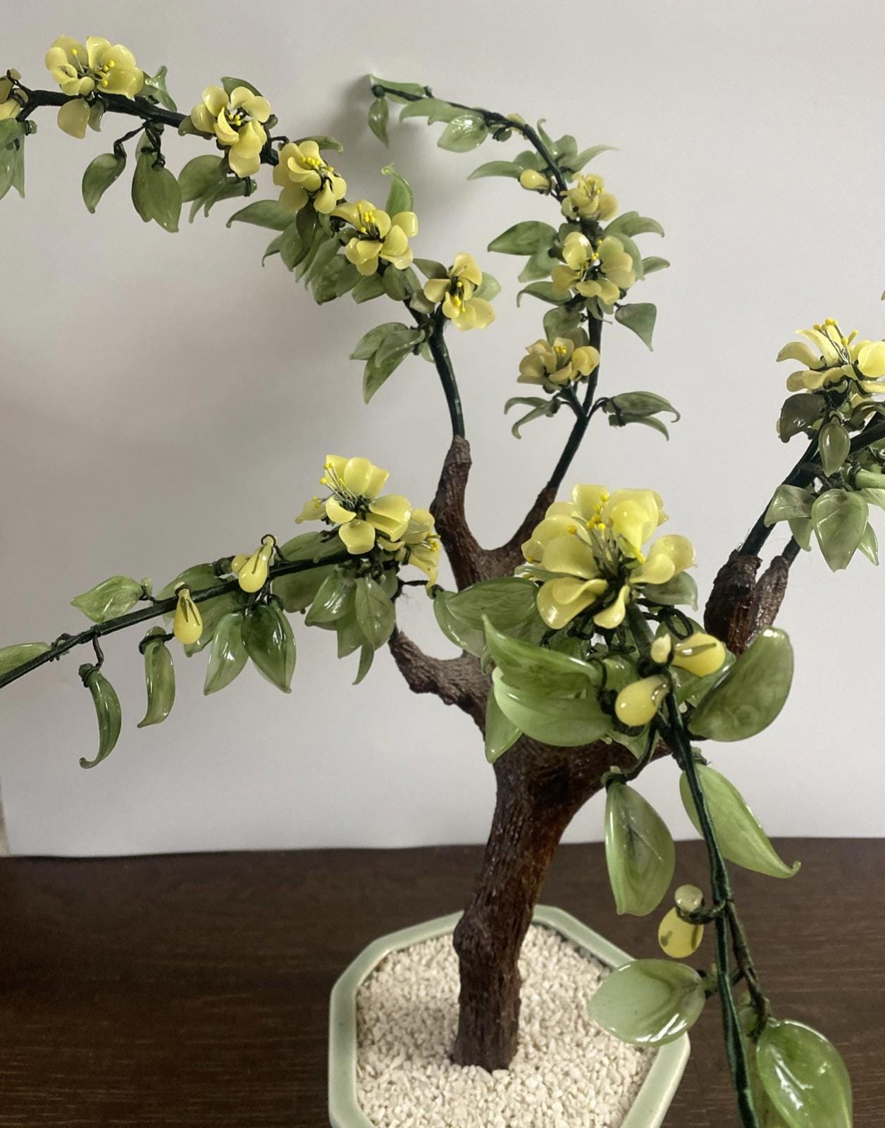 Jade bonsai tree - Etsy 日本