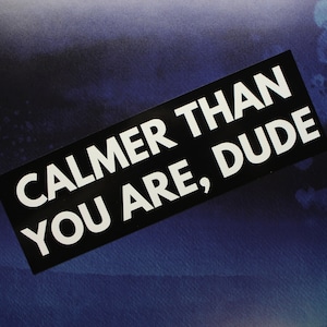Calmer Than You Are, Dude Vinyl Sticker