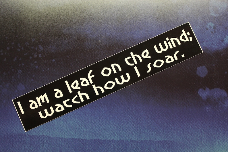leaf on the wind impaled meme leaf on the wind impaled meme