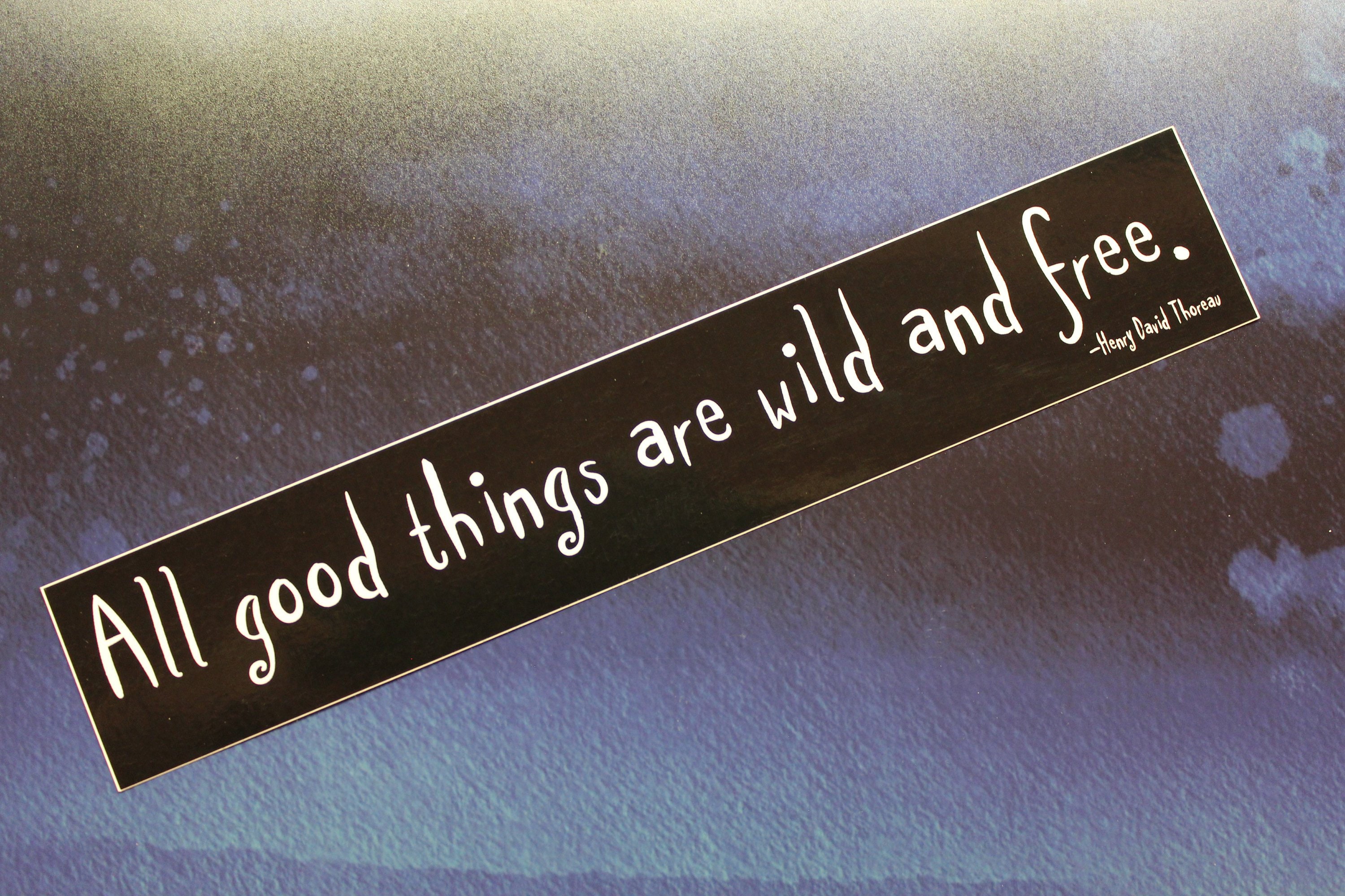 All Good Things Are Wild And Free Thoreau Vinyl Sticker Etsy