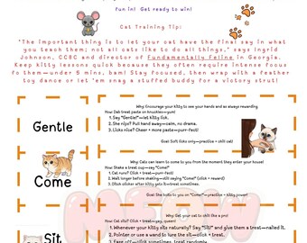 Cheatsheet voor ADHD-vriendelijke kittytraining
