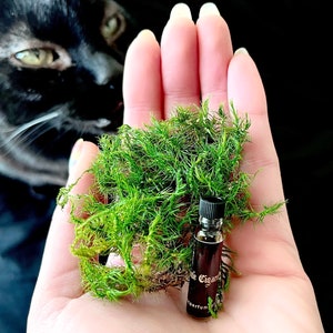 One BOTANICAL PERFUME SAMPLE / pick one 1.5 ml  | Artisan Perfume Sample |\ Vegan |\ Cruelty-Free