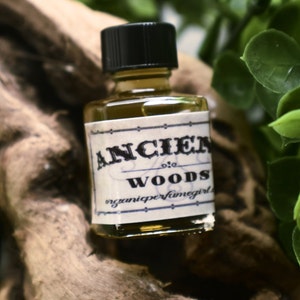 ANCIENT WOODS - Artisan Men's Natural Cologne | Amber, Vanilla, Woods / nerdy and unique | Woodsy Cologne