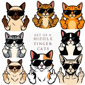 Mittelfinger Tier PNG, Mittelfinger Katze Clipart BUNDLE, Ficken Clipart, Schwören PNG, Tier Clipart, Katze mit dem Finger Png, lustige Katze Clip Art