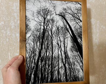 Wald Forest (DIN A4) Kunstdruck Wohnzimmer Schlafzimmer Küche Poster Artprint